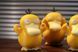 Набір колекційних друкованих фігурок Покемон Psyduck 3 шт (Псайдак) для фанатів аніме. Aivory id_17407 фото 5