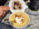 Інтернет-Зірка у Твоїй Чашці Трафарет Doge Meme. Aivory id_13044 фото 1