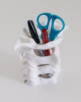 "Spine Desk Organizer" &mdash; Хребетний Органайзер. Aivory id_12791 фото
