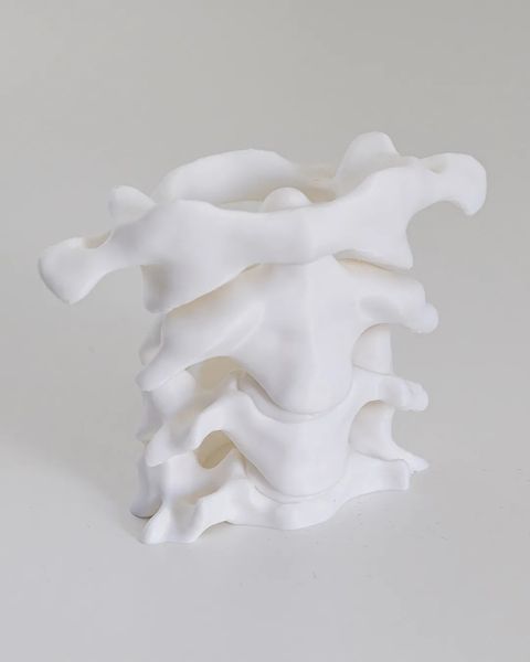 "Spine Desk Organizer" &mdash; Хребетний Органайзер. Aivory id_12791 фото