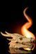 Череп Дракона Декоративний. Aivory id_14378 фото 1