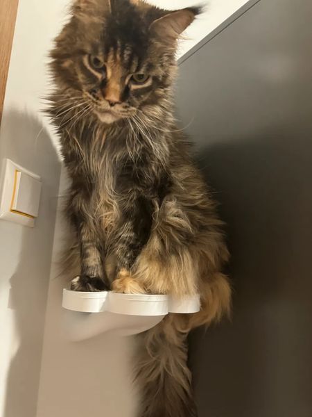 Настінна полиця для котів "Котяча Лапка" id_17554 фото