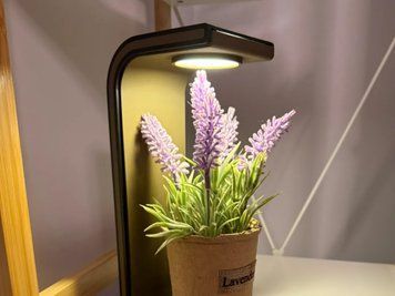 LED-підставка з підсвіткою &ndash; настільний аксесуар для навушників, рослин. Aivory id_11103 фото