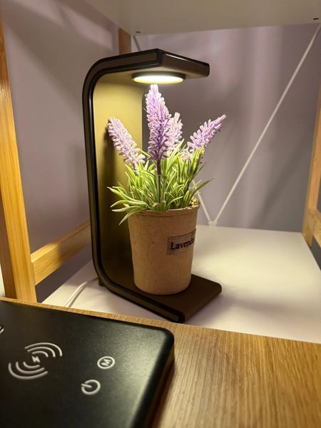 LED-підставка з підсвіткою &ndash; настільний аксесуар для навушників, рослин. Aivory id_11103 фото