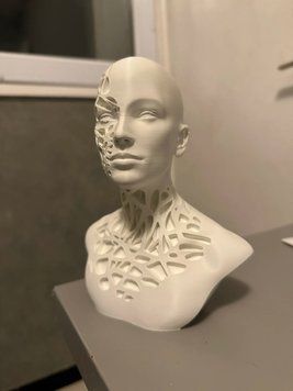 Абстрактний Бюст-Скульптура 'Внутрішня Мережа' (Voronoi Visage). Aivory id_14068 фото
