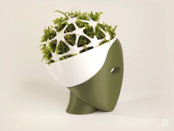 Оригінальний квітковий горщик "Kokedama Moss Head". Aivory id_11865 фото
