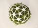 Оригінальний квітковий горщик "Kokedama Moss Head". Aivory id_11865 фото 3