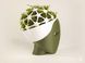 Оригінальний квітковий горщик "Kokedama Moss Head". Aivory id_11865 фото 1