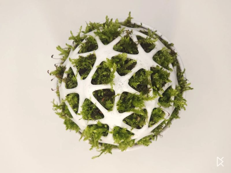 Оригінальний квітковий горщик "Kokedama Moss Head". Aivory id_11865 фото