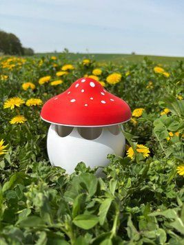 Садова пастка для слимаків "Грибочок". Aivory id_14255 фото